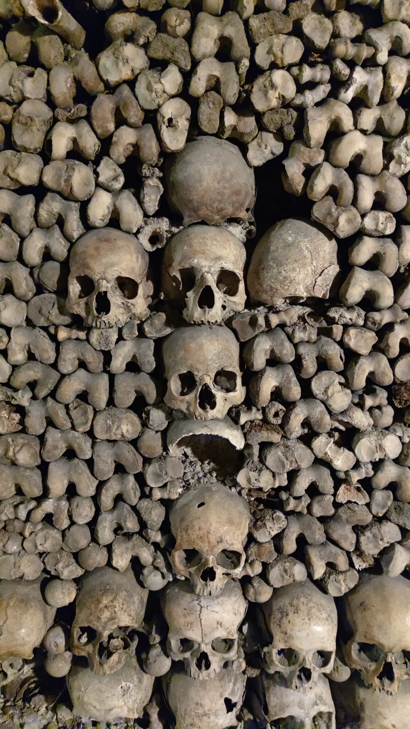 The Paris catacombs