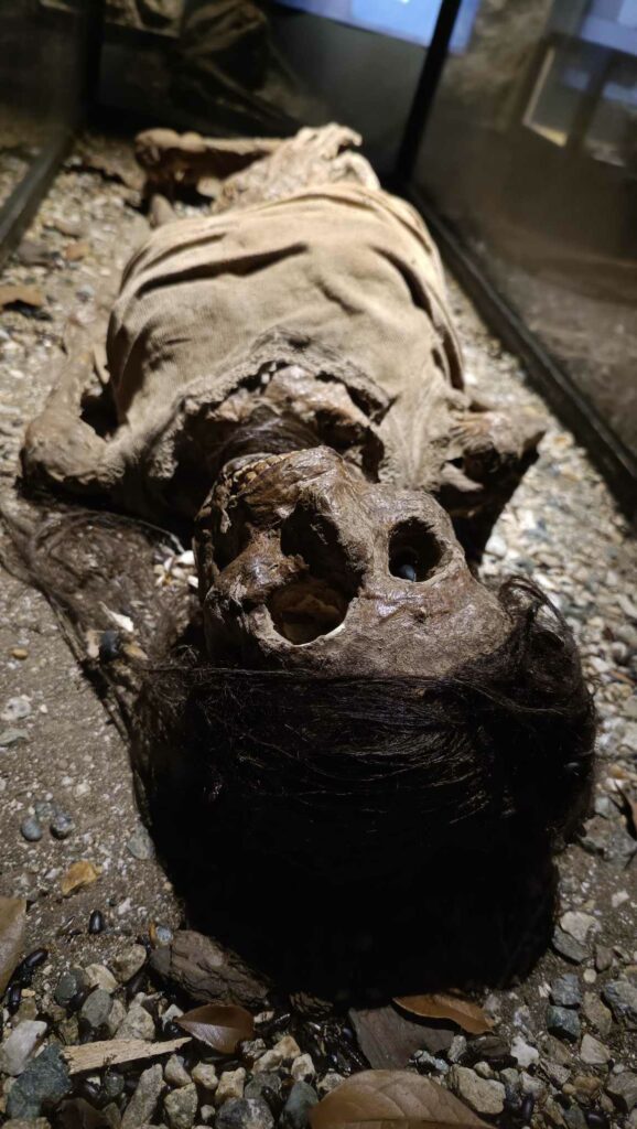 Criminology exhibition serial killer