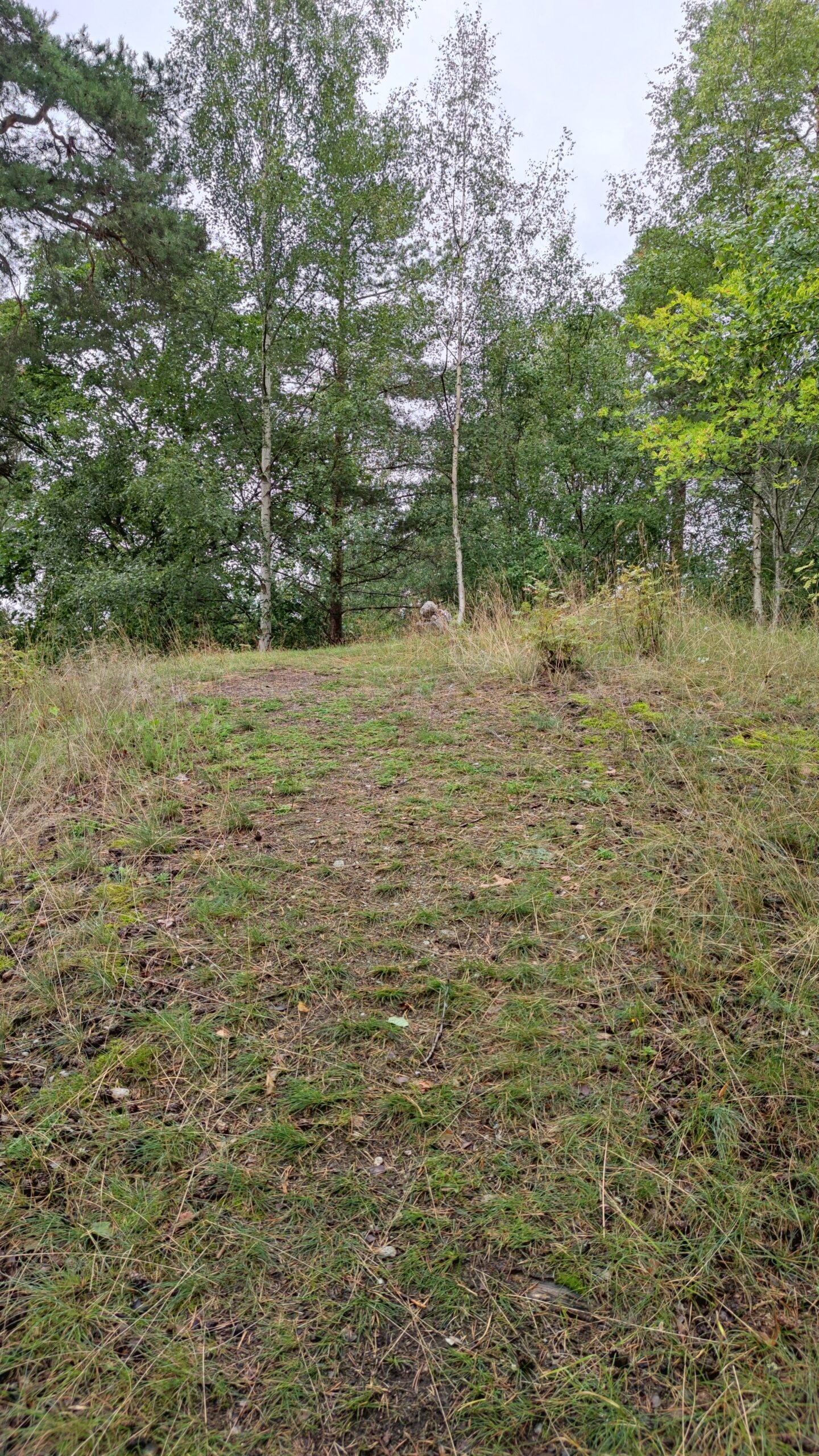 viking-burial-mounds-forest-sweden