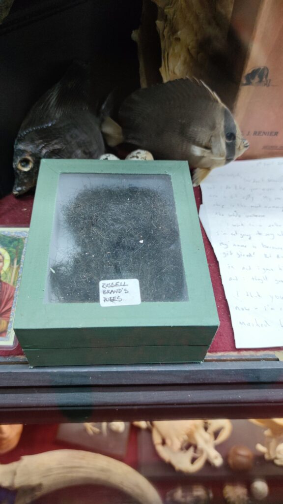 Russell brand pubes viktor wynd