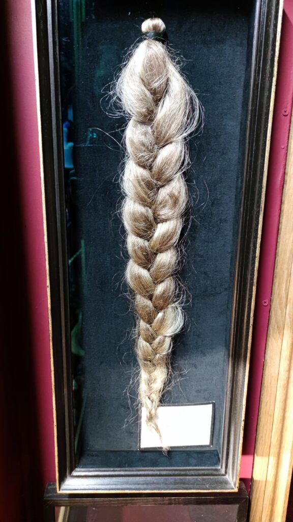 Titanic survivor hair viktor wynd