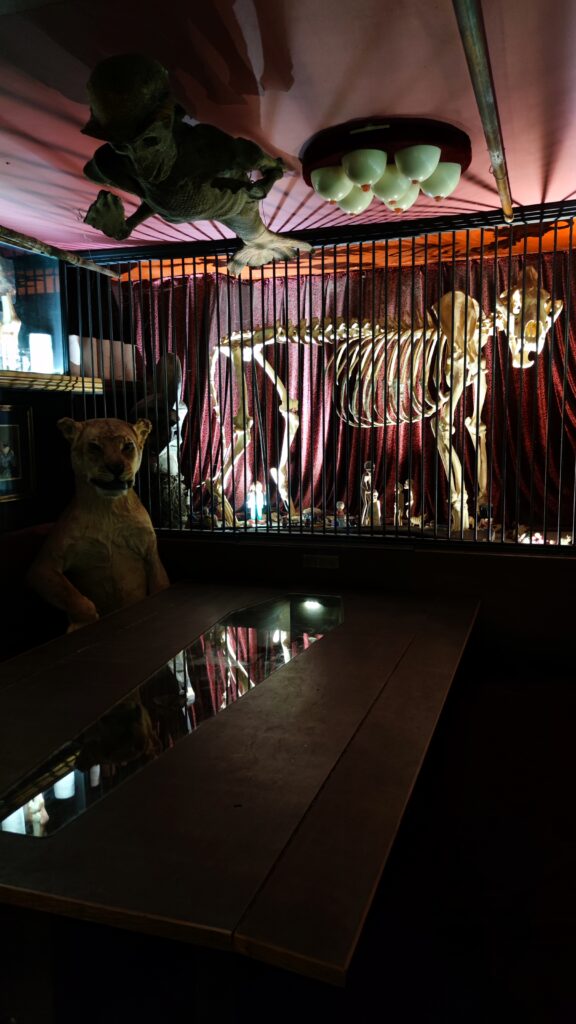 private room viktor wynd