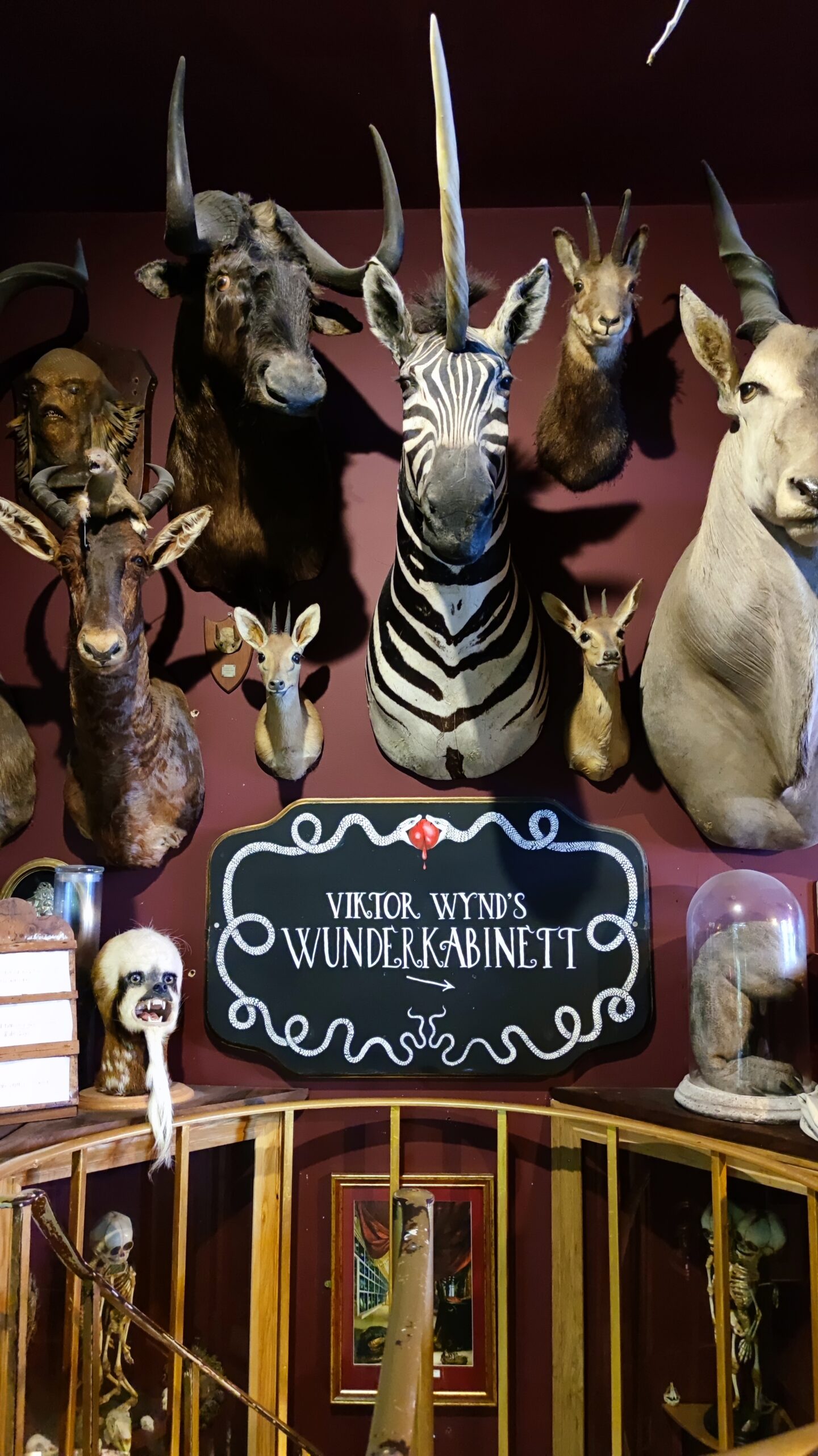 Viktor Wynd’s cabinet of curiosities