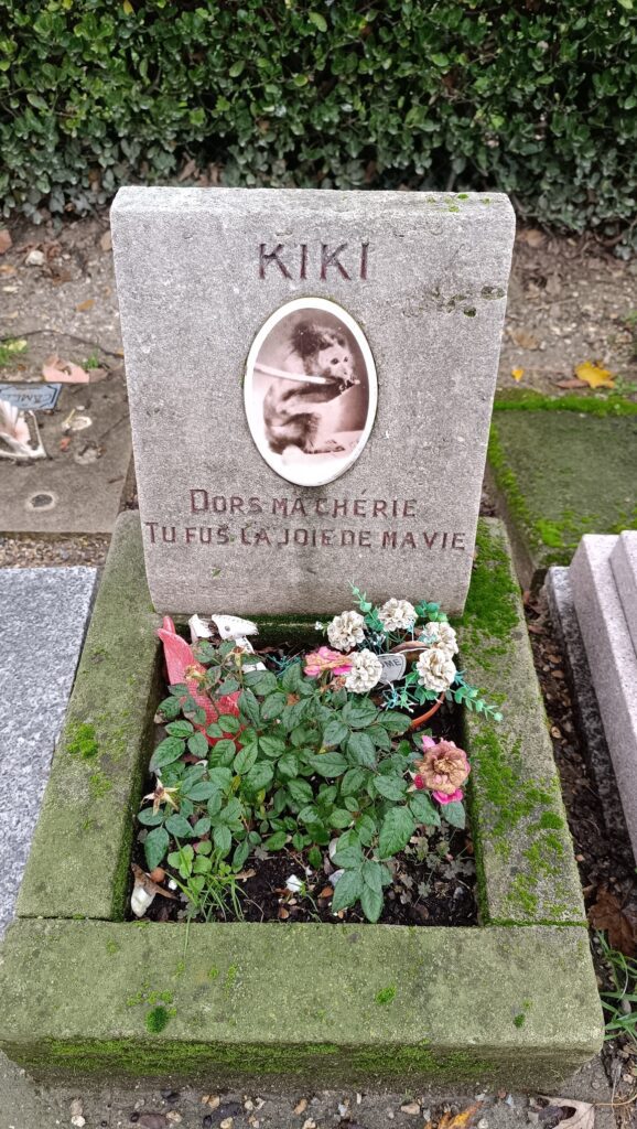 pet cemetery paris monkey tombstone