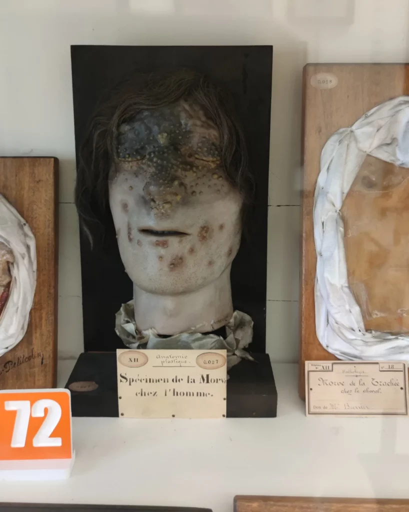 paris fragonard museum