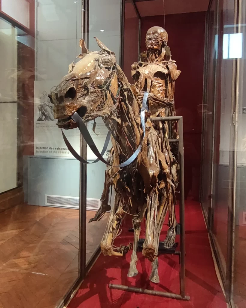 horseman of the apocalypse fragonard museum