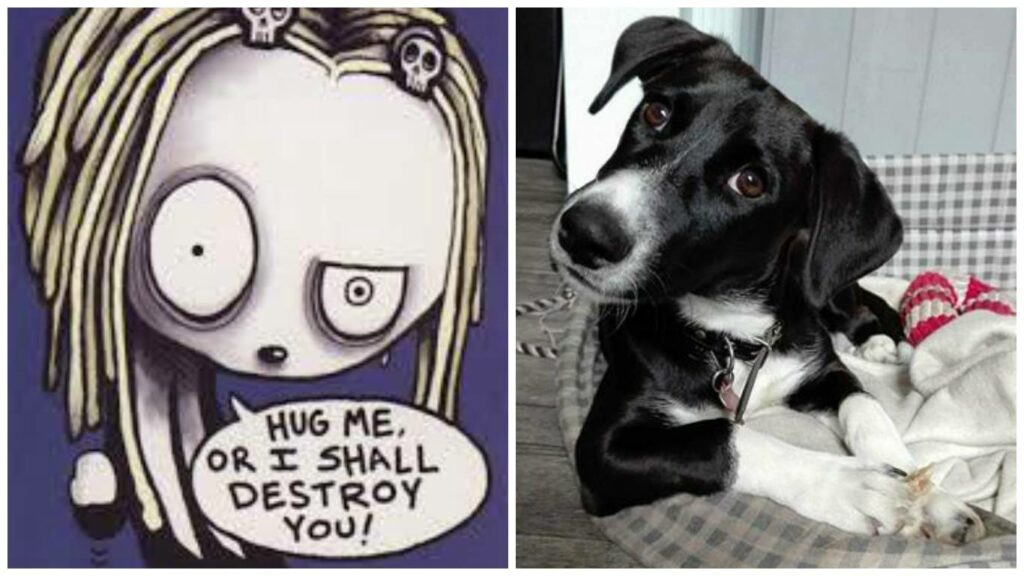 lenore dog hug