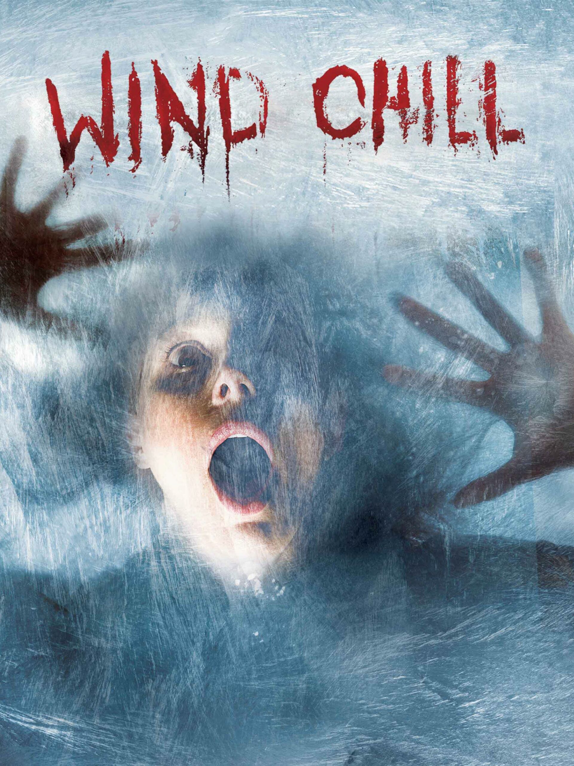 Wind chill (2007) : a decent watch