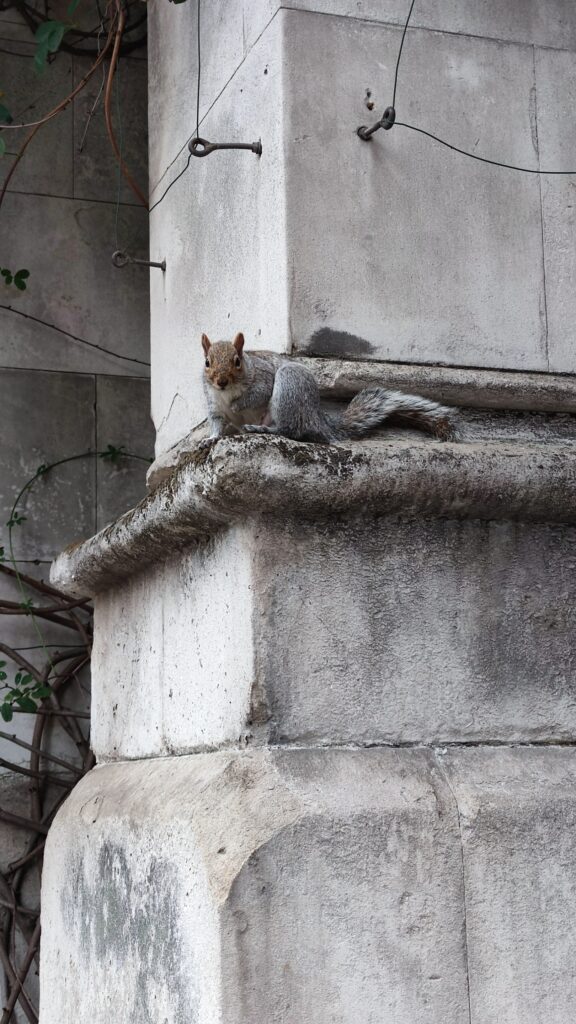 St dunstan in the east london