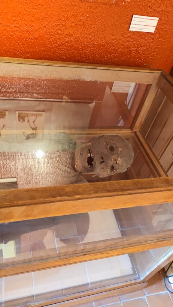 mummy flaubert museum rouen