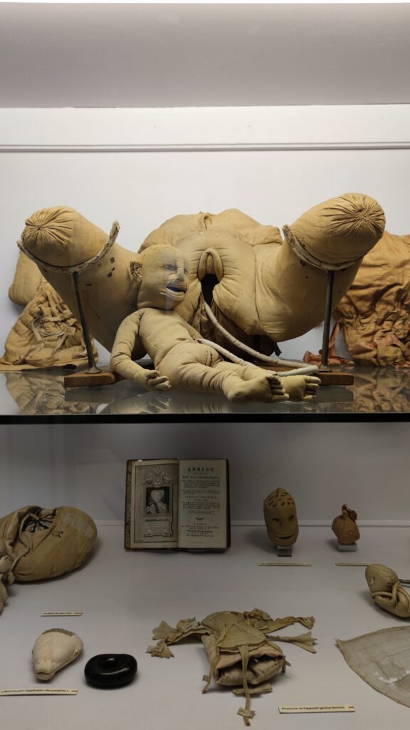 anatomical birthing replica made out of fabric flaubert muesuem rouen