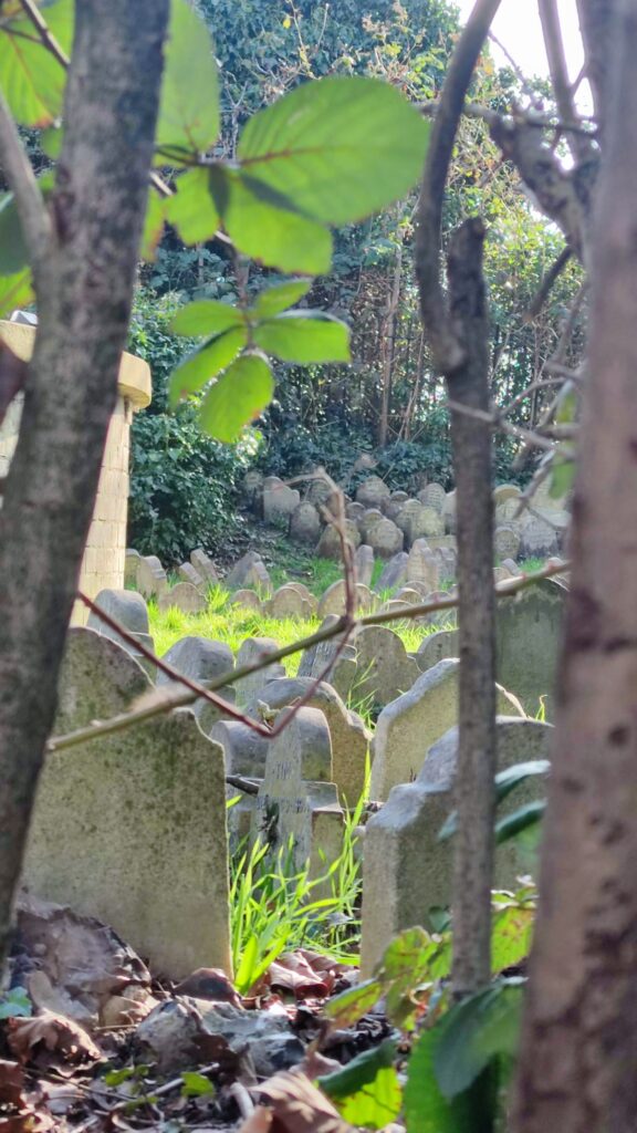 Hyde park pet cemetery