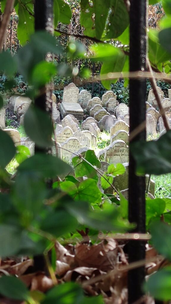 Hyde park pet cemetery