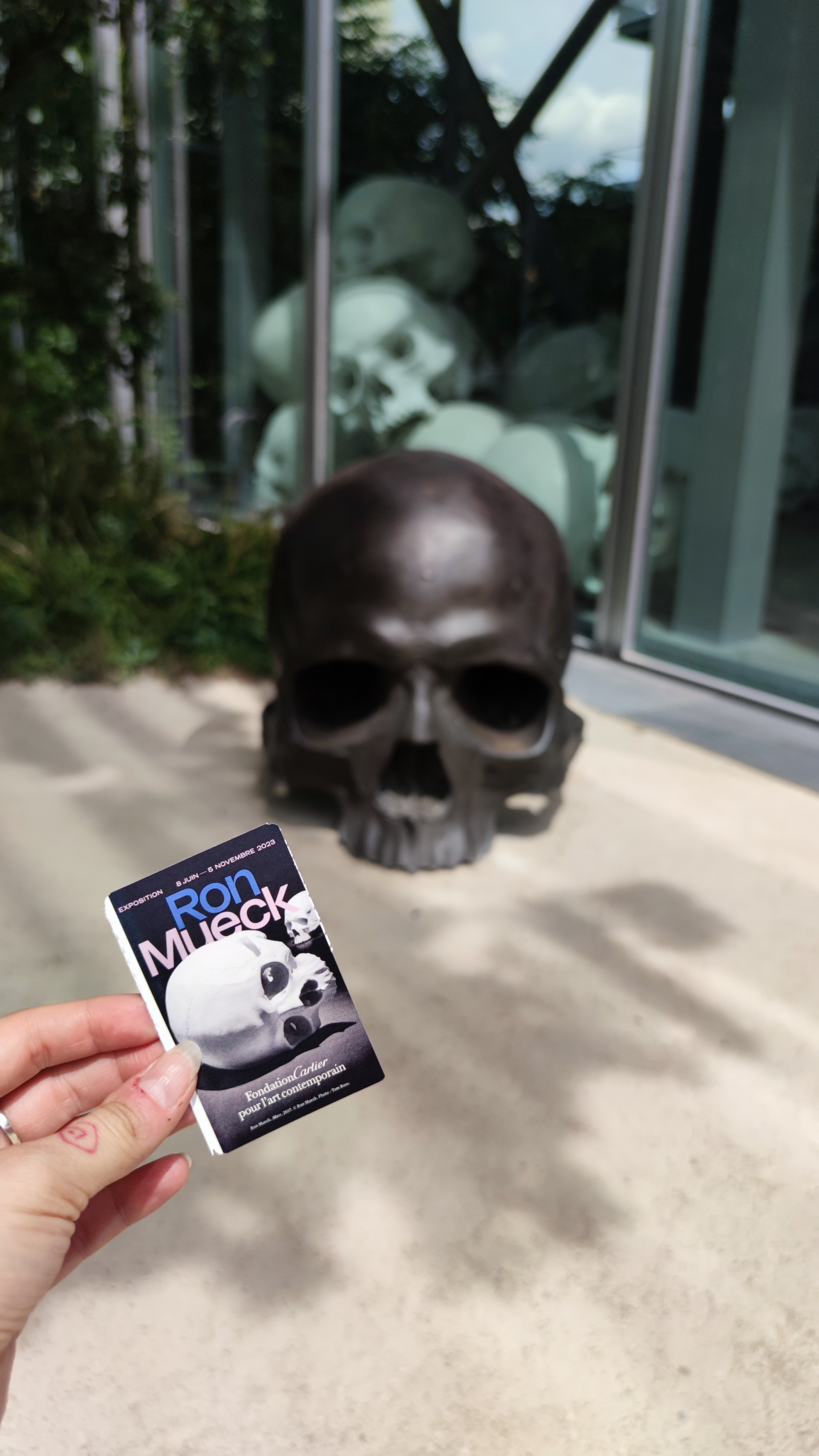 Ron muek exhibition skulls